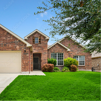 Friendswood - Guide